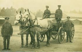 Horse transport in WW1 – Forgotten tales